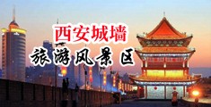 坤巴搞子宫图片中国陕西-西安城墙旅游风景区